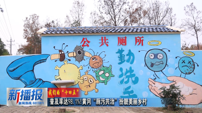 我们的十四五｜普及率达98.1% 黄冈“厕污共治”扮靓美丽乡村