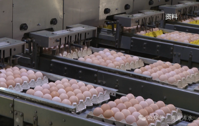 黄冈科创平台建设再添新引擎  省禽蛋产业技术研究院通过认定