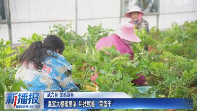 温室大棚暖意浓 科技赋能“菜篮子”