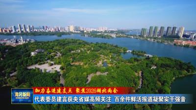 加力奋进建支点 聚焦2026湖北两会｜ 两会“黄”金档 发展“冈”要好 代表委员建言获央省媒高频关注 百余件鲜活报道凝聚实干强音