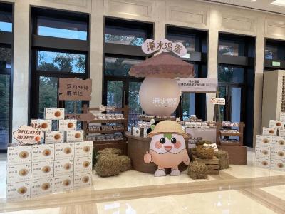 邯郸市考察团来浠水考察蛋鸡产业链发展经验