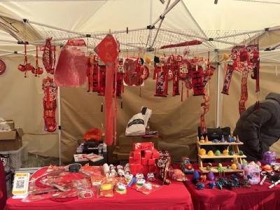 新春走基层|游客盛赞：“这梅花开得真好看！”