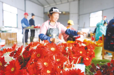 鄂东南最大鲜切花生产基地迎来产销旺季