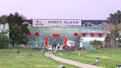 新场景新体验解锁消费密码 湖北将年均推出超3000场促消费活动