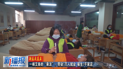新春走基层｜一根艾条的“乘法”：带动3万人就业 催生3千家店