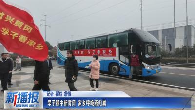 学子眼中新黄冈 家乡呼唤燕归巢