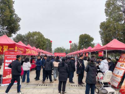 春风行动搭桥梁 精准就业暖民心英山县举办2026年“春风行动暨就业援助季”首场大型招聘会