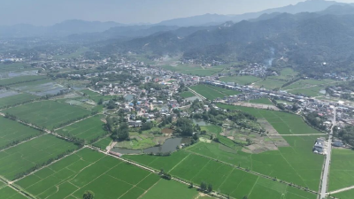 2月1日 早！黄冈 | 总投资255 亿元！这一项目加速推进 ◆ 新增多处电子抓拍点位