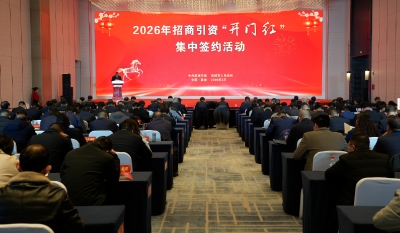 “链上发力”引爆麻城招商引资“开门红”