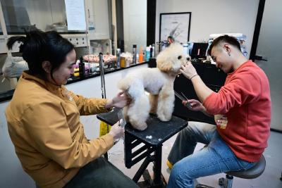 服务质量参差不齐，上门喂养宠物服务该如何规范