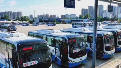 135.87万人次 我市春节假期交通运输平稳收官