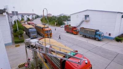 数说黄冈“十四五”｜粮食安全工作交出亮眼答卷