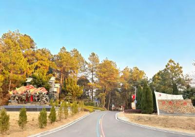 从三杰故里到3A景区  红色宛大吸引远方“知音”