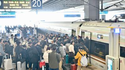 长途“有票” 短途却“无票”？铁路12306回应售票策略