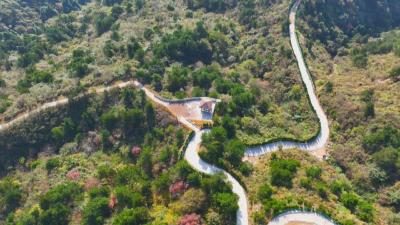 喜看家乡新变化丨又是一年春 毕昇森林公园焕新颜