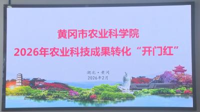 稳增长 开新局｜我市农业科技成果转化迎来“开门红”