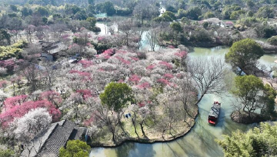2月20日 早！黄冈 | 城区多条主干道交通管制◆必看！烟花爆竹安全指南→