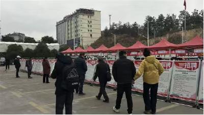 英山：“春风行动”送岗忙 贴心服务暖人心