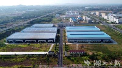 创新拉满弓 抢跑春天里 蕲春“开门红”这样干