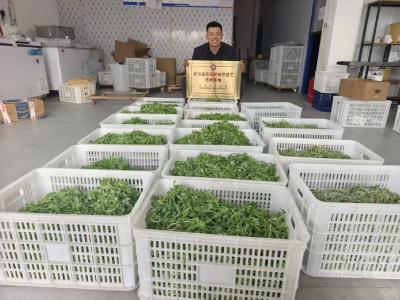 网购“种草”栽跟头  大别山老农悟透“好物经”——罗田“两栖农民”守牢山货出山根脉