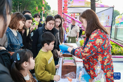数据告诉你，春节9天假大家打算在哪过