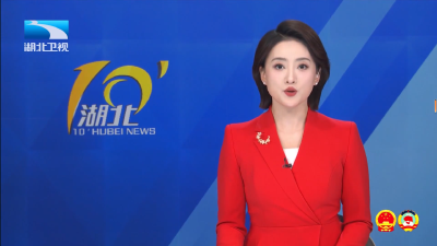 代表委员说 | 以法治之力 固发展之基