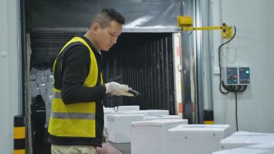 稳增长 开新局·政协委员在行动｜新春抢“鲜”    一季度顺丰冷运黄冈中心订单预计增长超100%