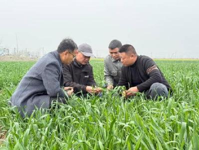 不误农时不负春——2026年黄冈市春季田管暨春耕备耕现场培训会侧记