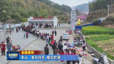花漾黄冈｜ 英山：春日河东 樱花烂漫