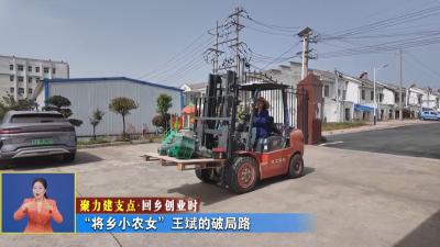 聚力建支点 回乡创业时丨 “将乡小农女”王斌的破局路