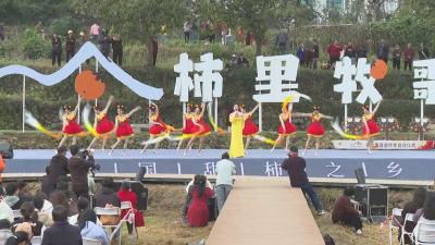 黄冈人黄冈事︳罗田：村歌嘹亮润乡土 文化赋能兴乡村