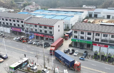 123.75吨茶叶启运非洲  英山茶叶出口实现“开门红”