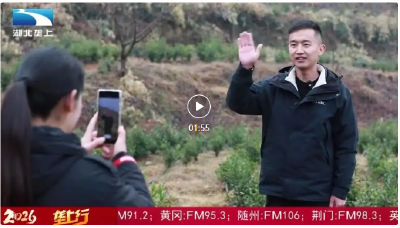 团风95后村支书舒祥网络直播助农增收