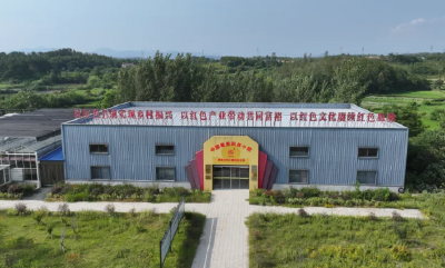 3月15日 早！黄冈 |市区江滩油菜花季启幕◆两所高中公开招聘教师 