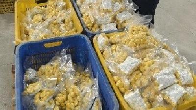 建平台 促对接 拓销路  黄冈优质农产品搭上出山“快车”