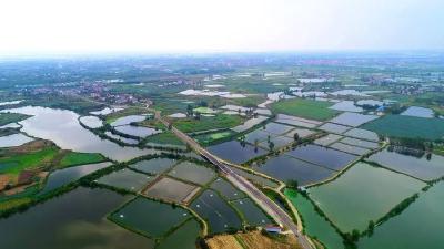 90后村支书和他的“幸福三件事”