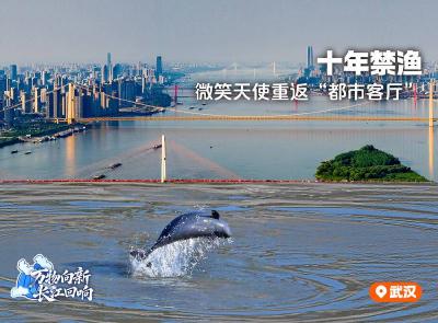 第六个中华鲟保护日 55万尾中华鲟放归长江