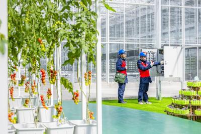 国网蕲春县供电公司启动合规“一库两清单”修订工作