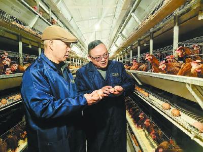 村小气场不小 干群齐心“筑巢”  五十六家企业“扎堆”落户雷家坪