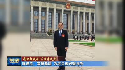 履职赴盛会 代表传民声｜ 陈燎原：深耕基层 为老区振兴鼓与呼