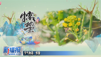 节气物语：惊蛰