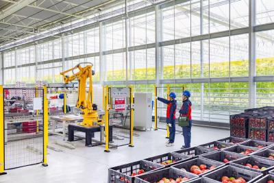 漕河供电所：春风送暖巡检忙  隐患消缺保供电