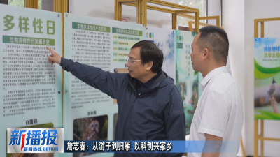 黄冈人黄冈事︳詹志春：从游子到归雁 以科创兴家乡