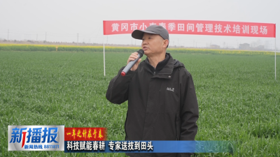 一年之计在于春 ︳科技赋能春耕 专家送技到田头