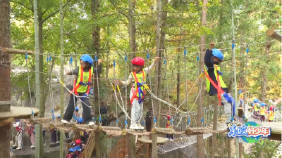 东坡好少年 逐梦勇向前！——黄冈融媒体中心全新少儿研学真人秀重磅上线！