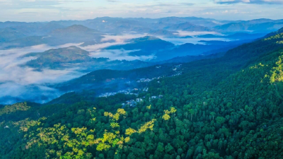 3月22日 早！黄冈 | 总投资超1亿元！黄冈签约文旅新项目 ◆ 这所学院升格大学→