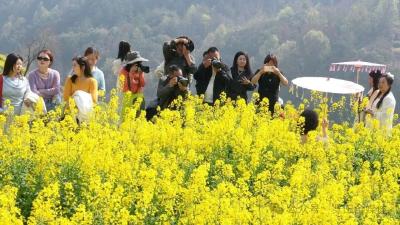 业态新 场景活——浠水县以新项目开辟文旅新赛道