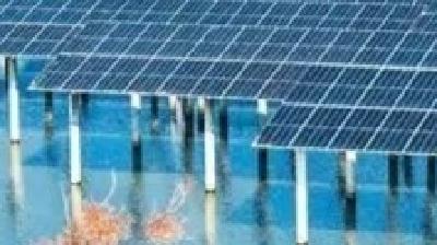 今天，黄冈又上《人民日报海外版》