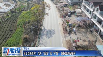 春约黄冈｜英山县梅岩村：花开“颜值”变“产值” 庭院经济促振兴