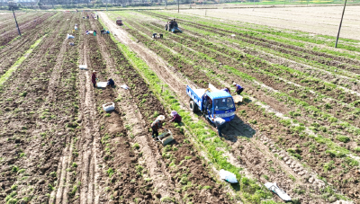 国网蕲春县供电公司检修建设工区：精巡细查找隐患 备战春检保供电